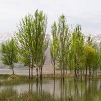 Choghakhor Lagoon